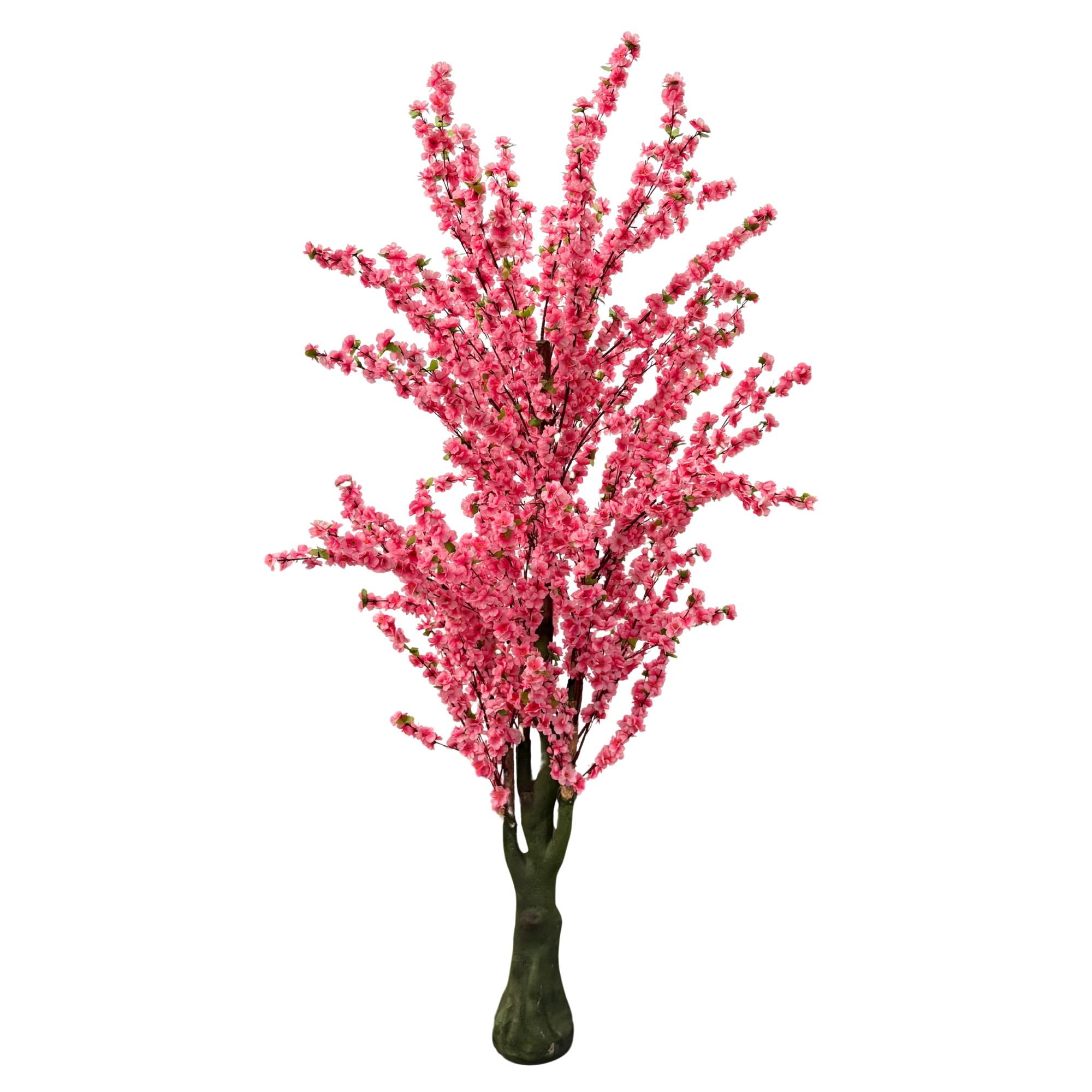 21444 - Cerezo