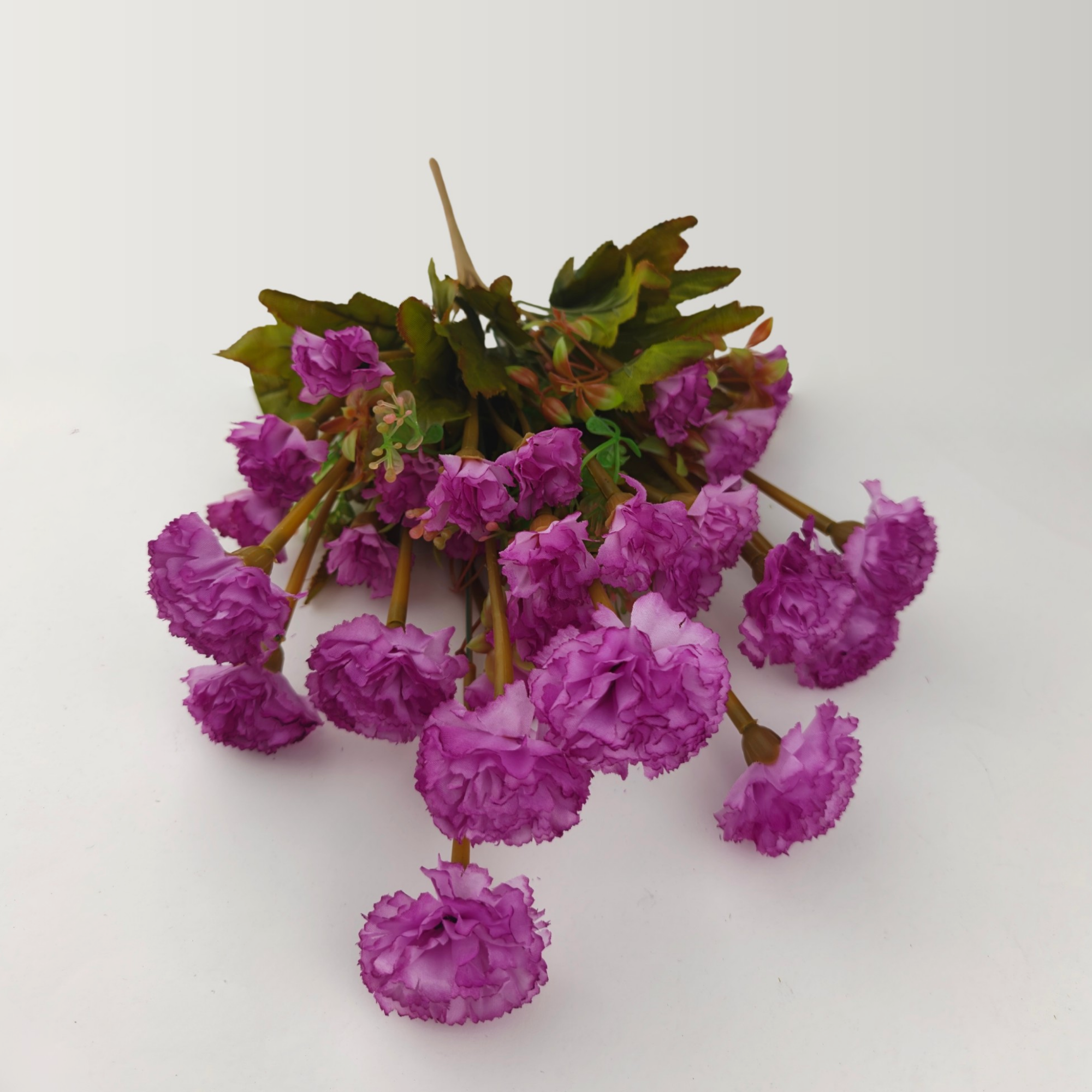 21485 - Morado (2)