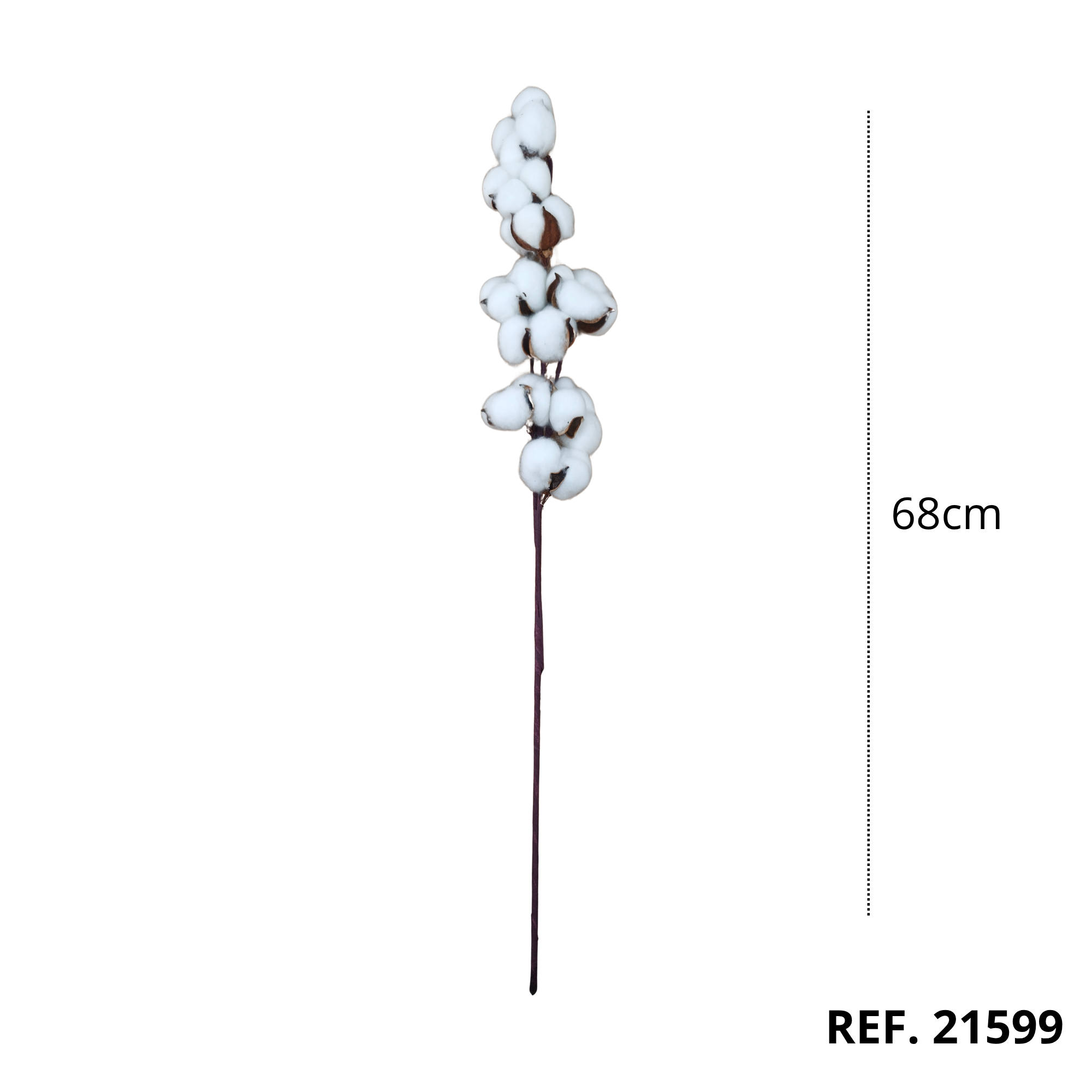 21599 - Vara de algodón