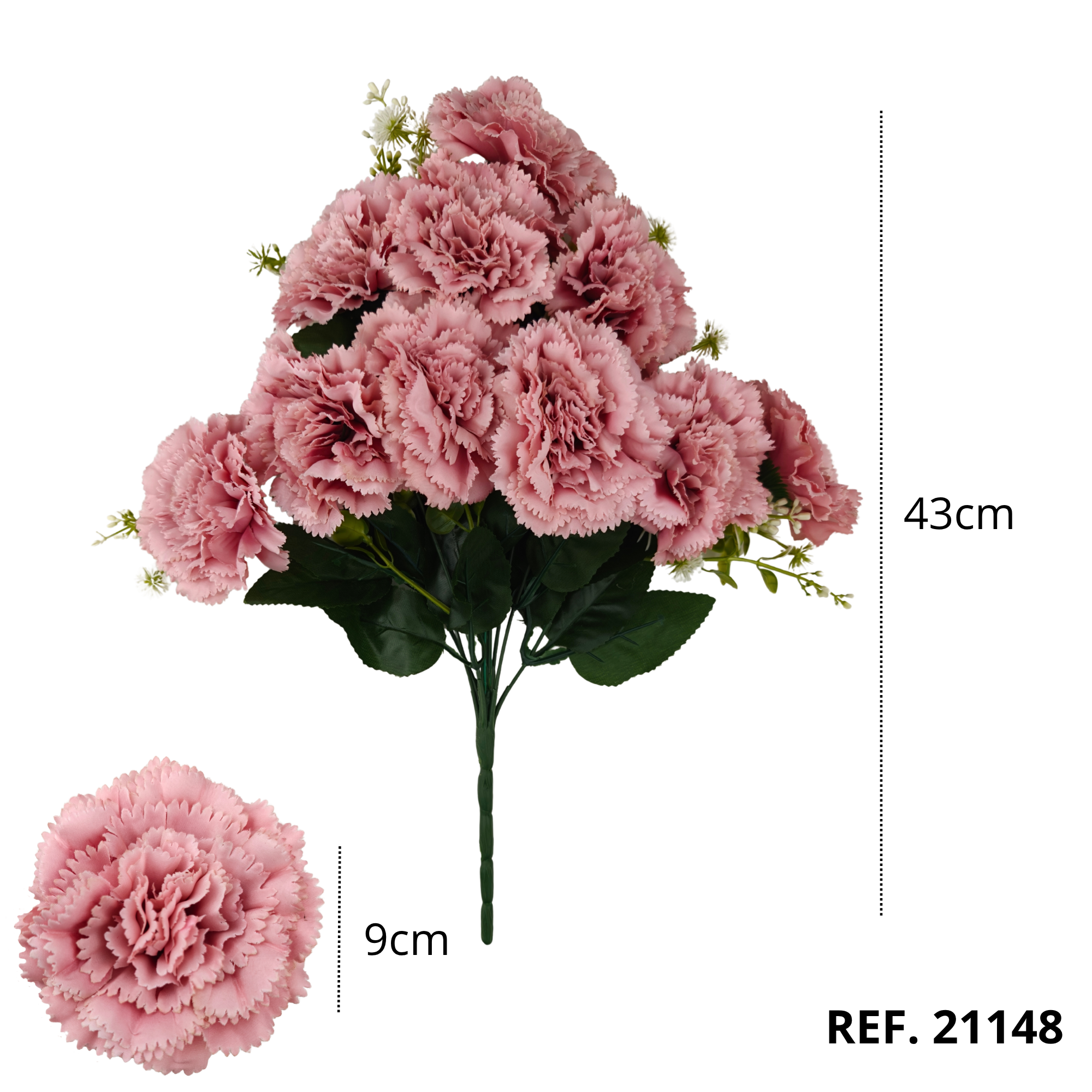 21148 - Rosa