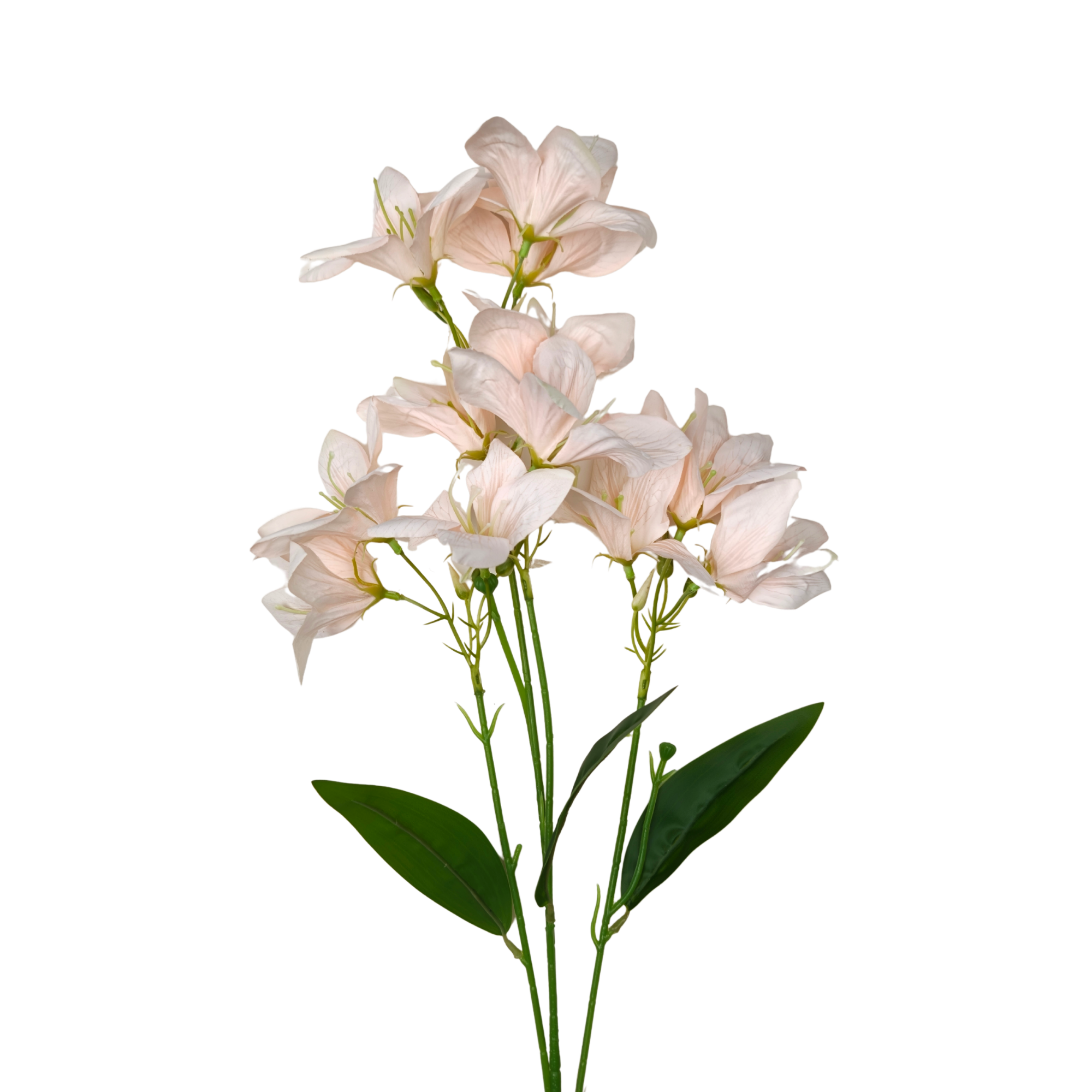 21227 - Rosa claro (2)