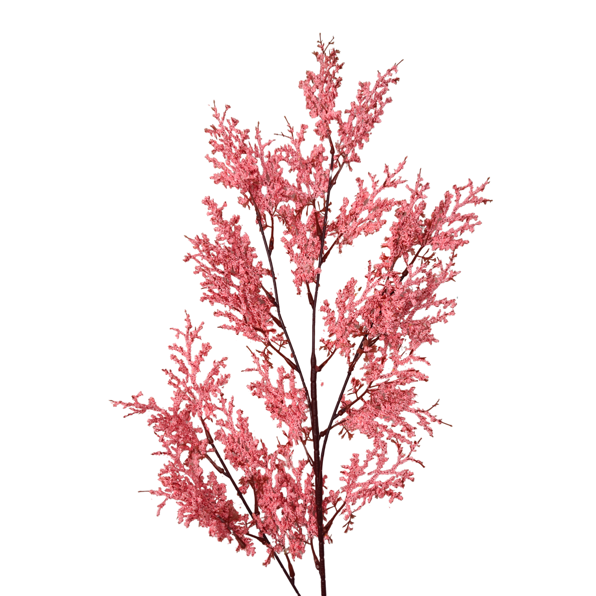 21230 - Rosa oscuro (2)
