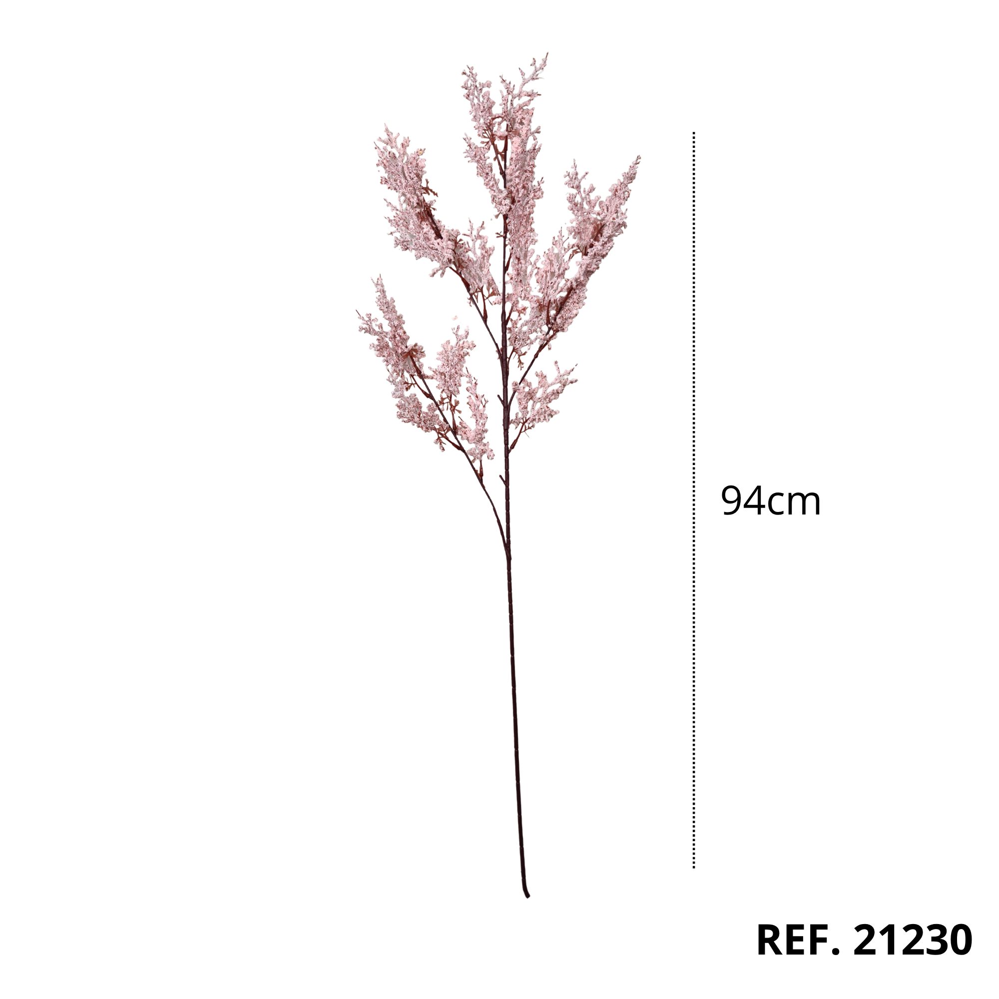 21230 - Rosa