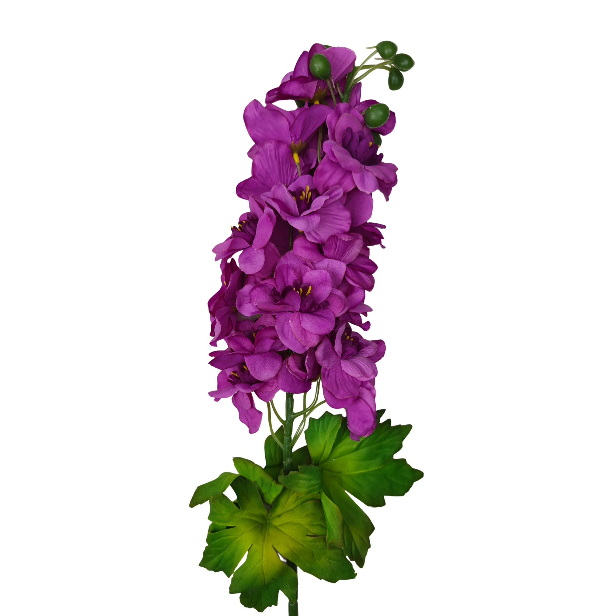 21293 - Morado (2)