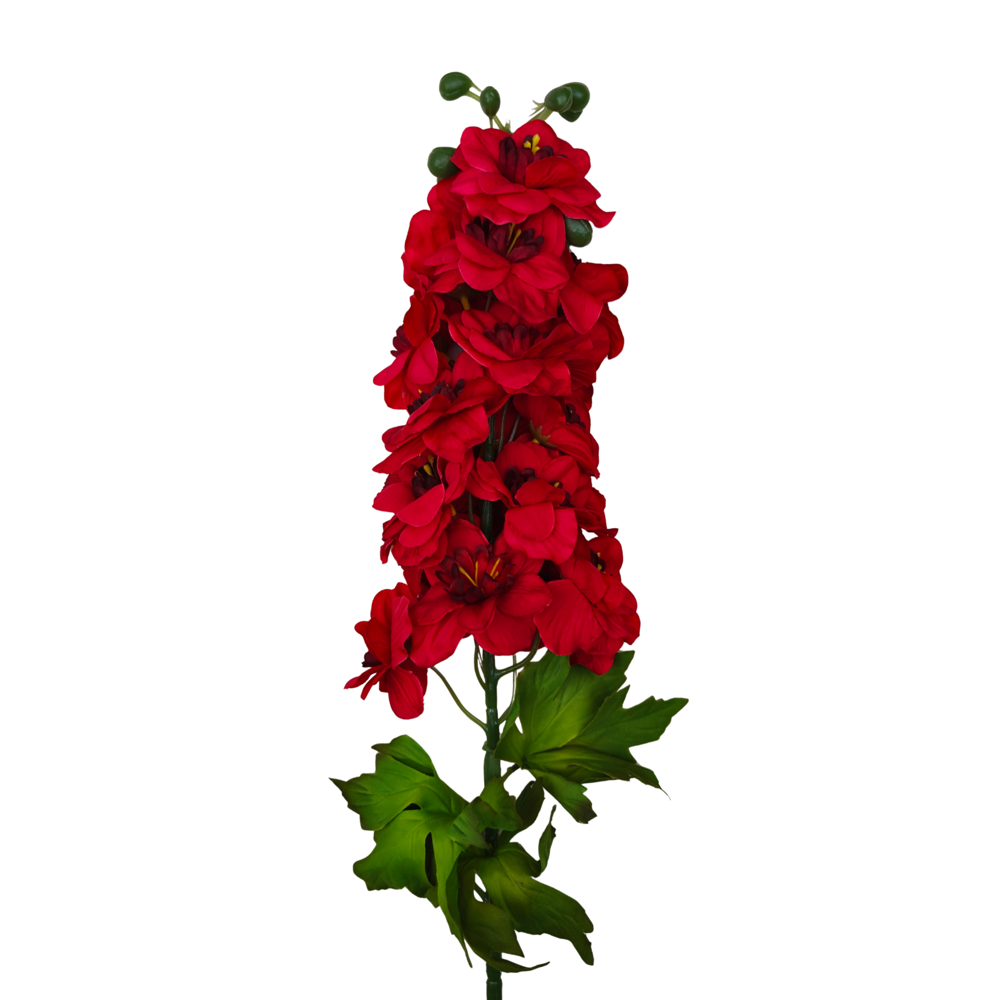21293 - Rojo (2)