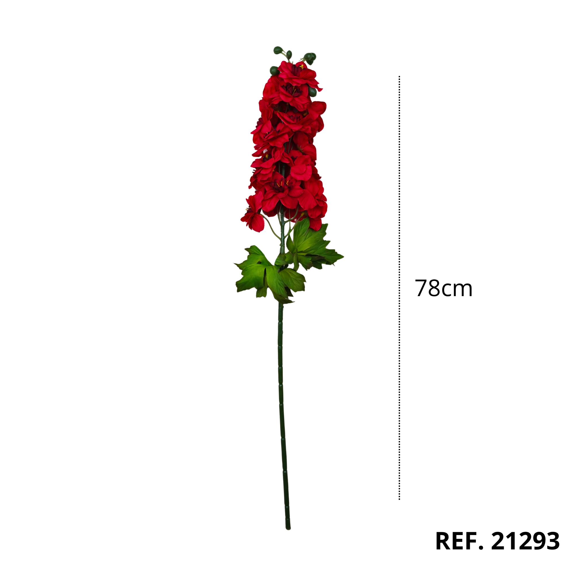 21293 - Rojo