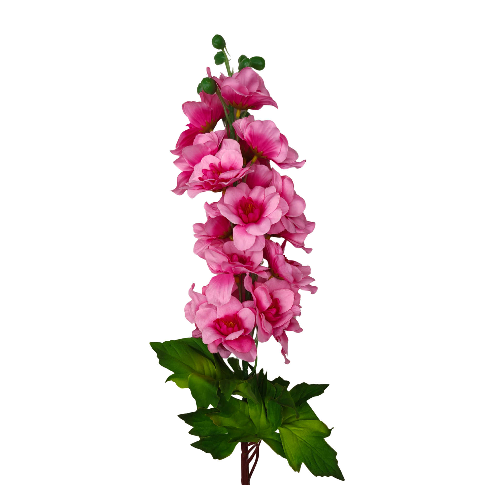 21293 - Rosa (2)