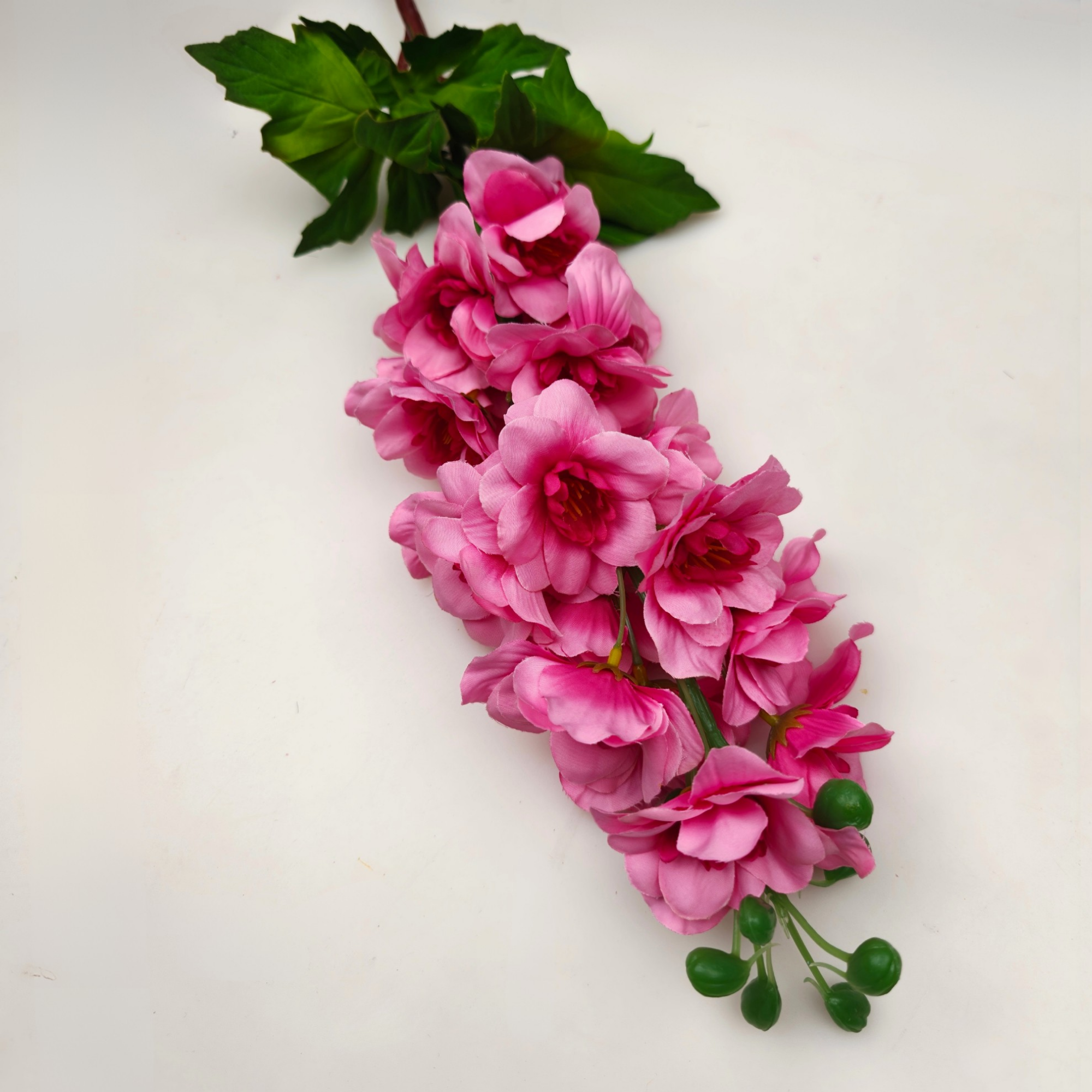 21293 - Rosa (3)