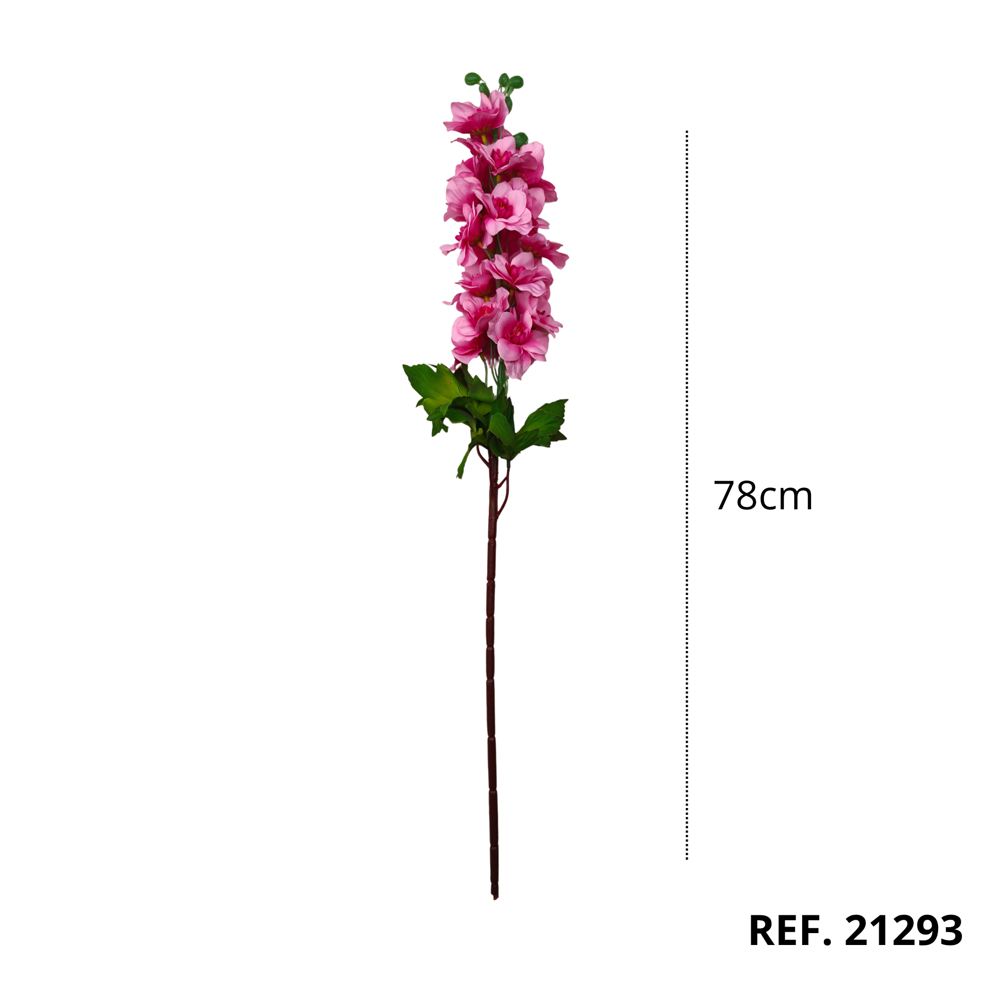 21293 - Rosa