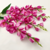 21300 - Fucsia (2)