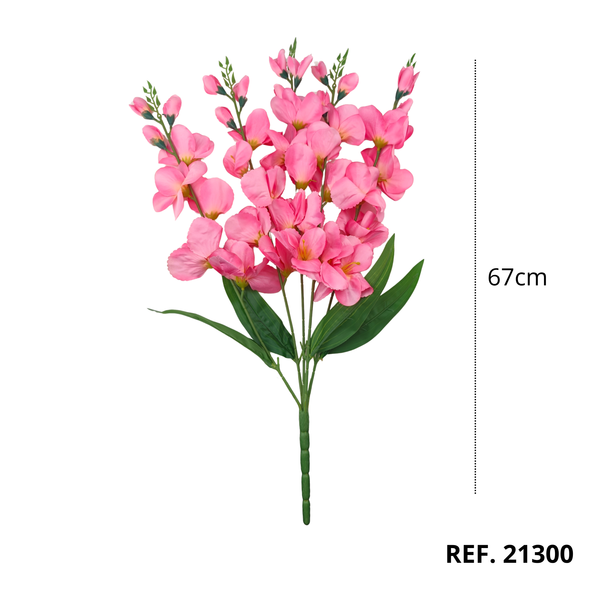 21300 - Rosa