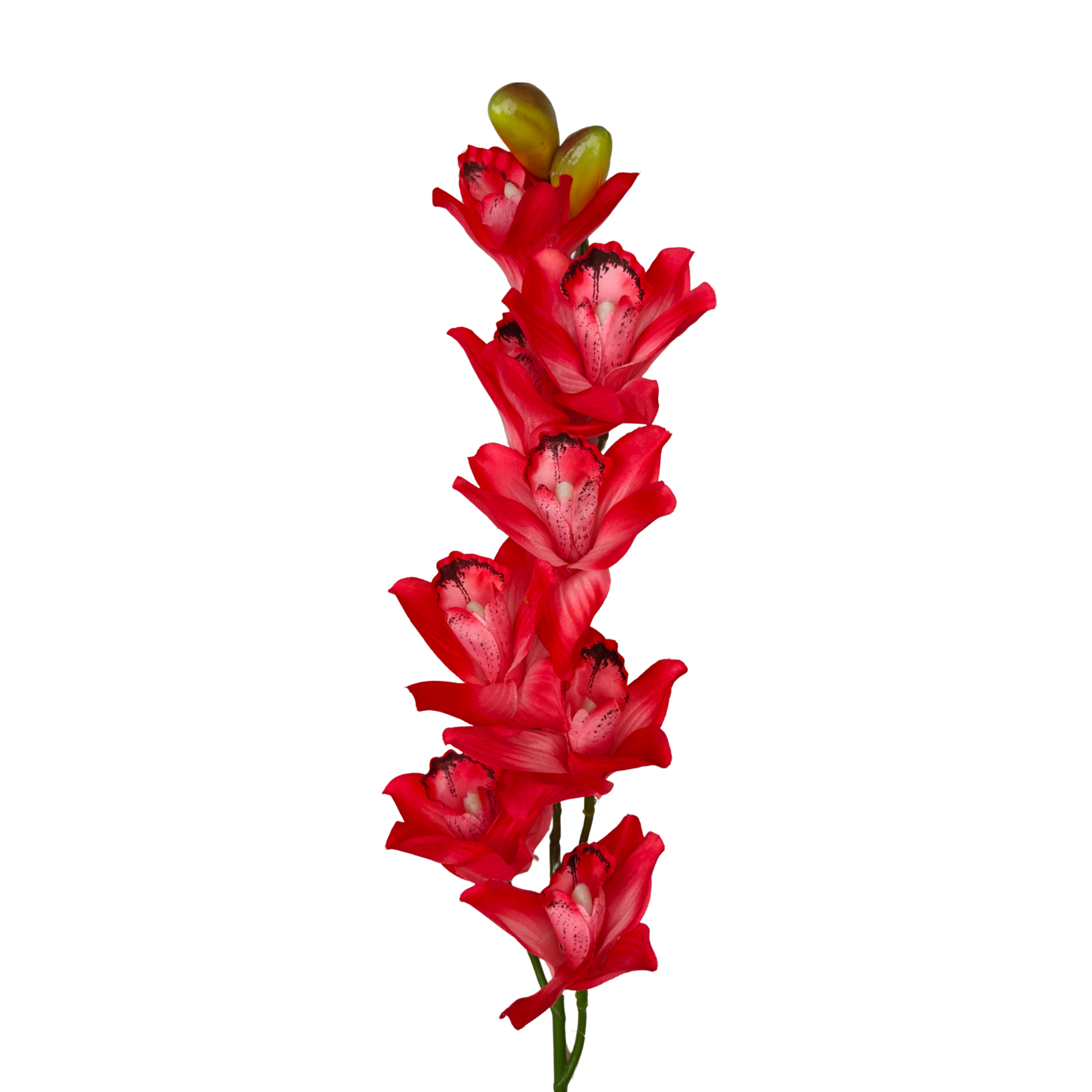 21349 - Rojo (2)