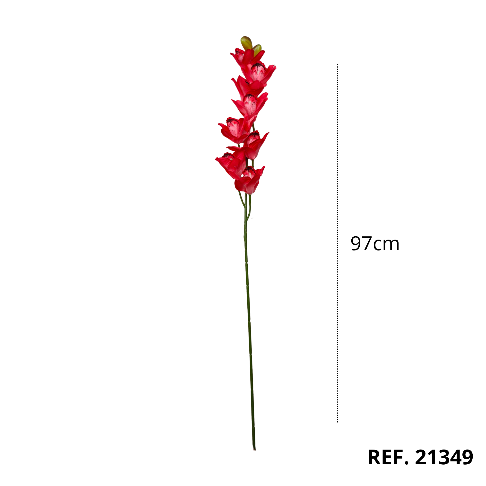 21349 - Rojo