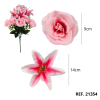 21354 - Rosa (2)