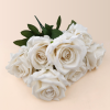 21489 - Crema (2)
