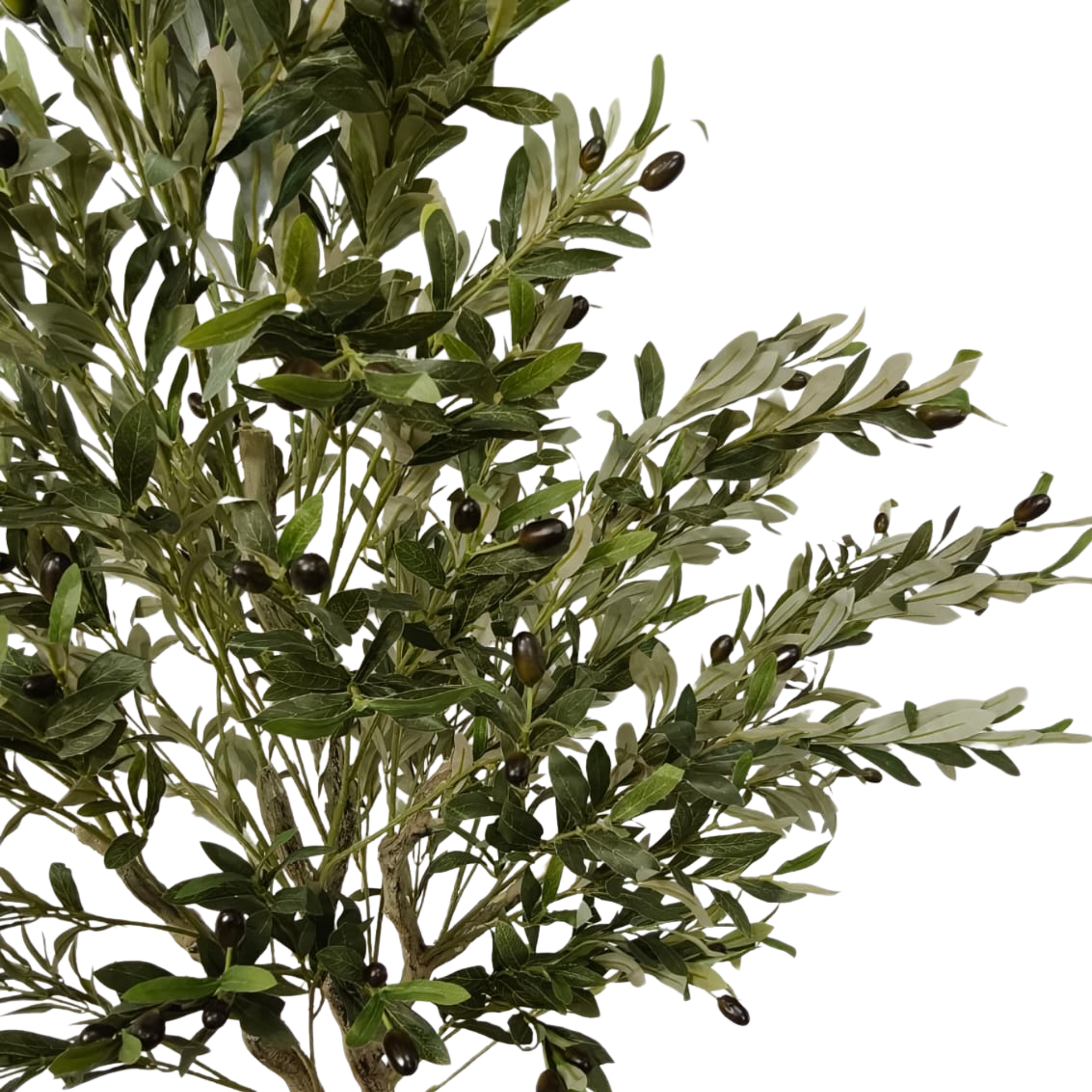 Olivo artificial grande plantado en maceta con base de yeso