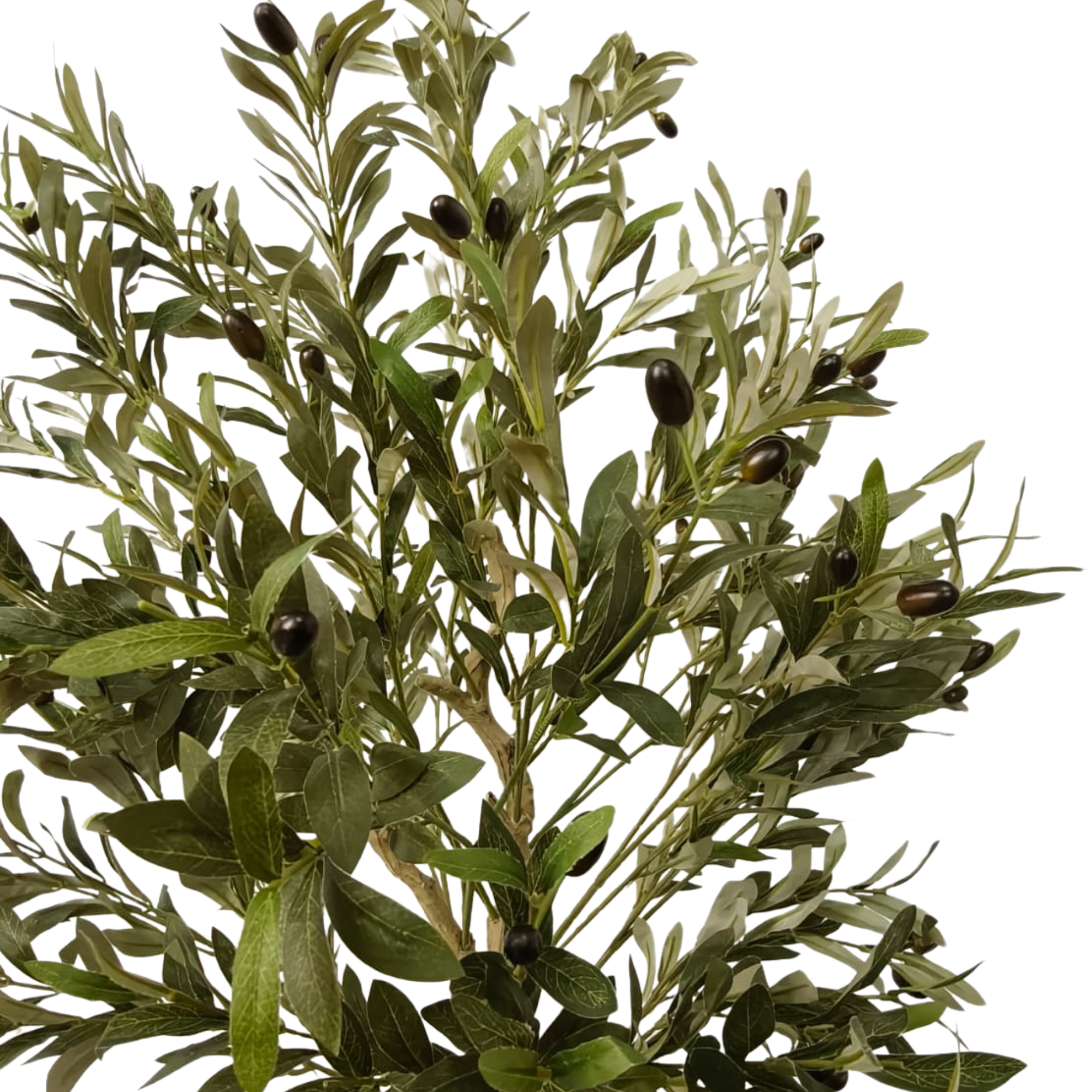 Olivo artificial mediano plantado en maceta con base de yeso