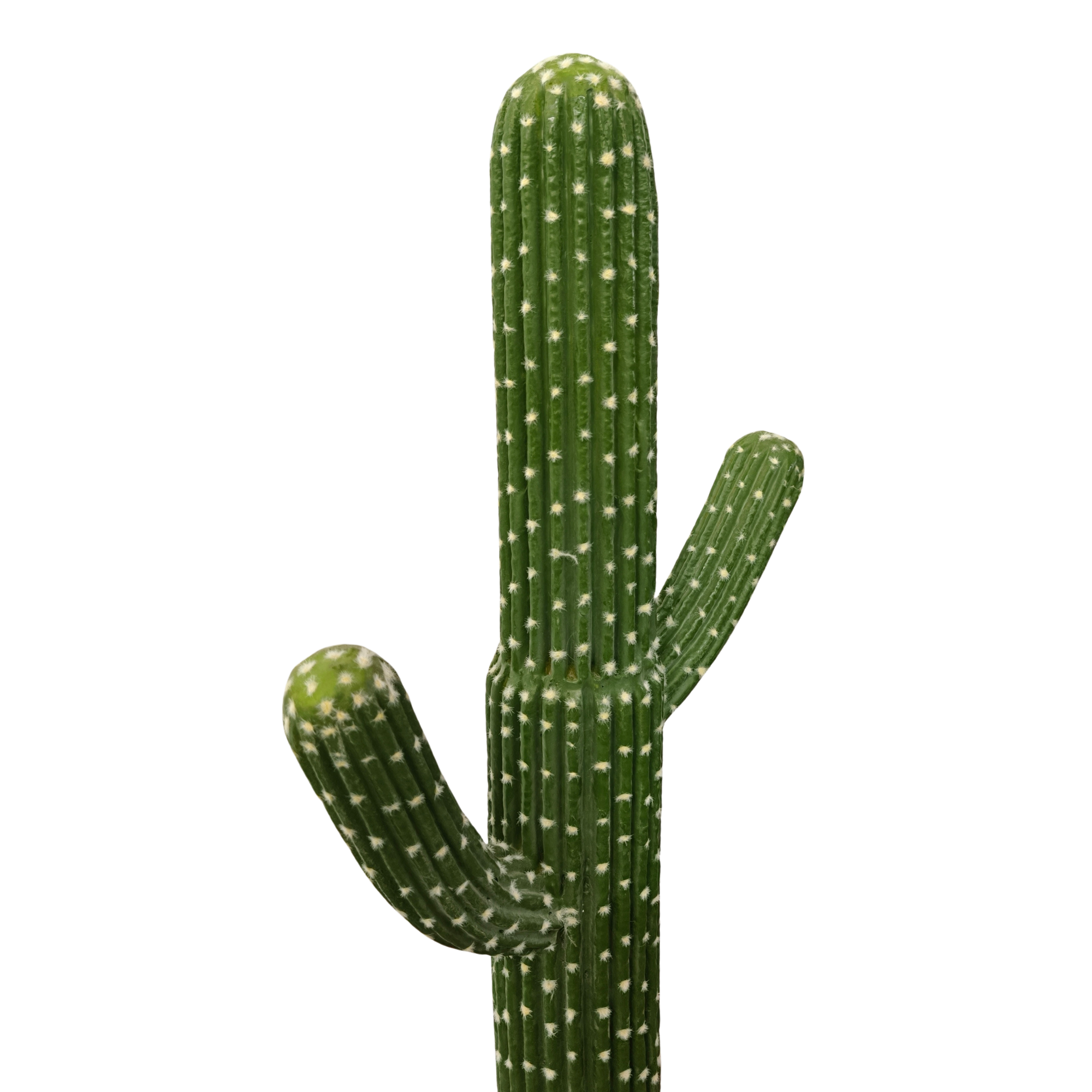 Cactus artificial visto de perfil en maceta con base de yeso