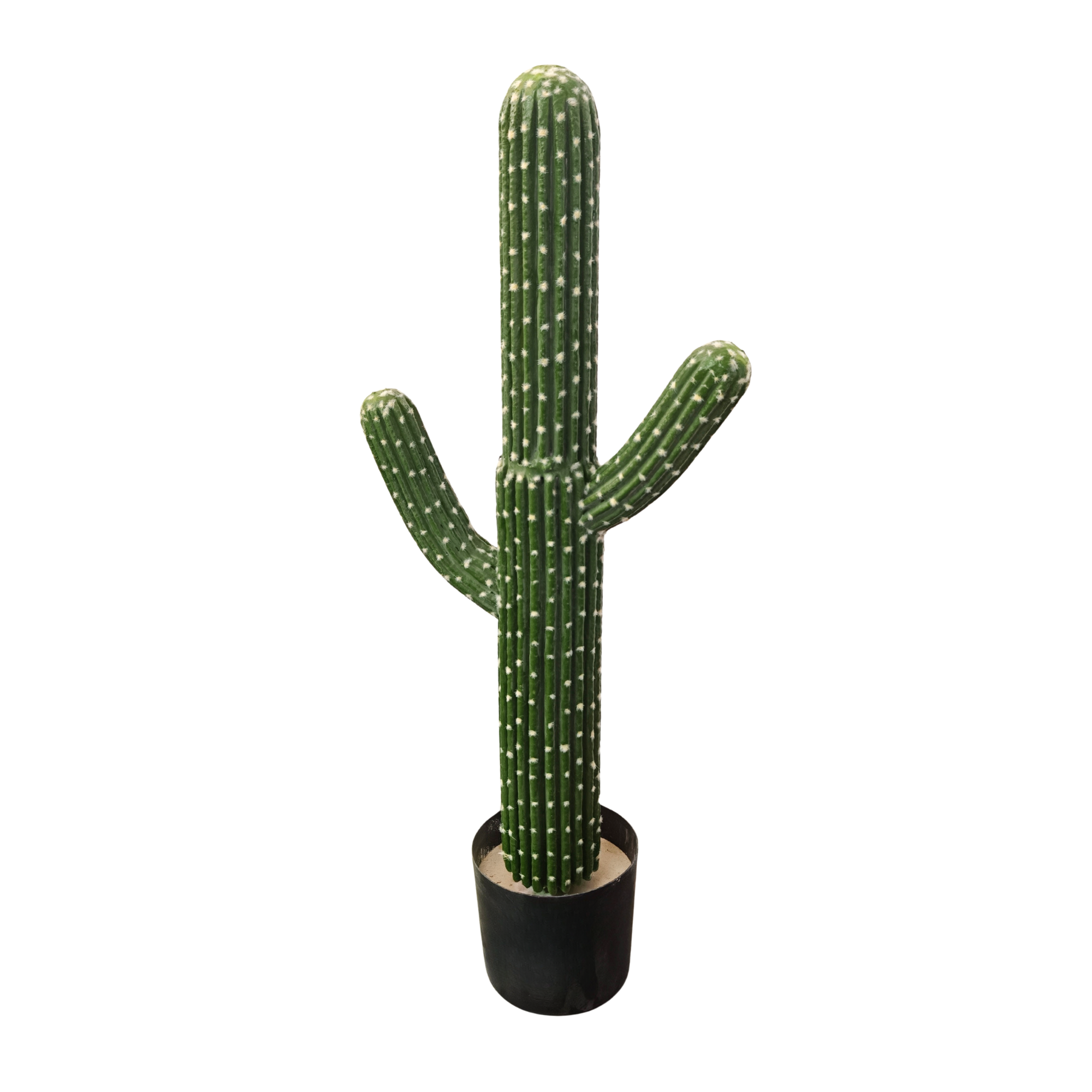 Detalle de la textura y espinas del cactus artificial