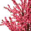 Cerezo artificial grande rosa con ramas amplias