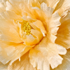 Detalle 11 de la flor pequeña de decoración en felpa