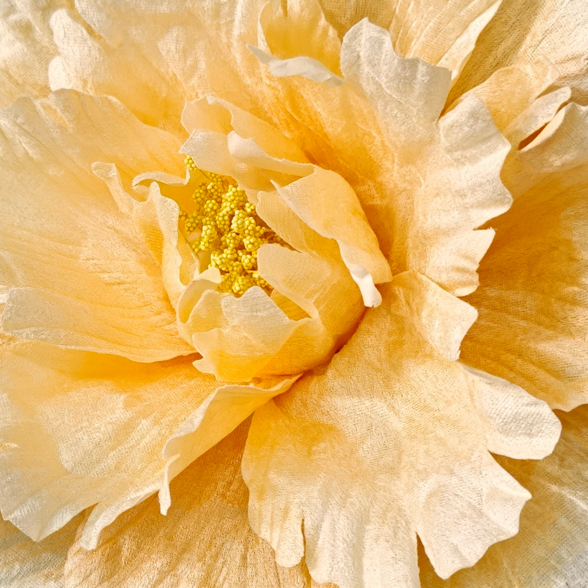 Detalle 11 de la flor pequeña de decoración en felpa