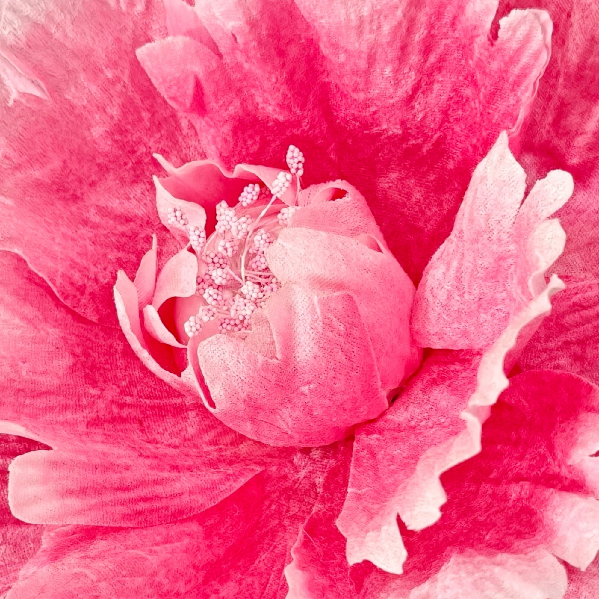 Detalle 5 de la flor pequeña de decoración en felpa
