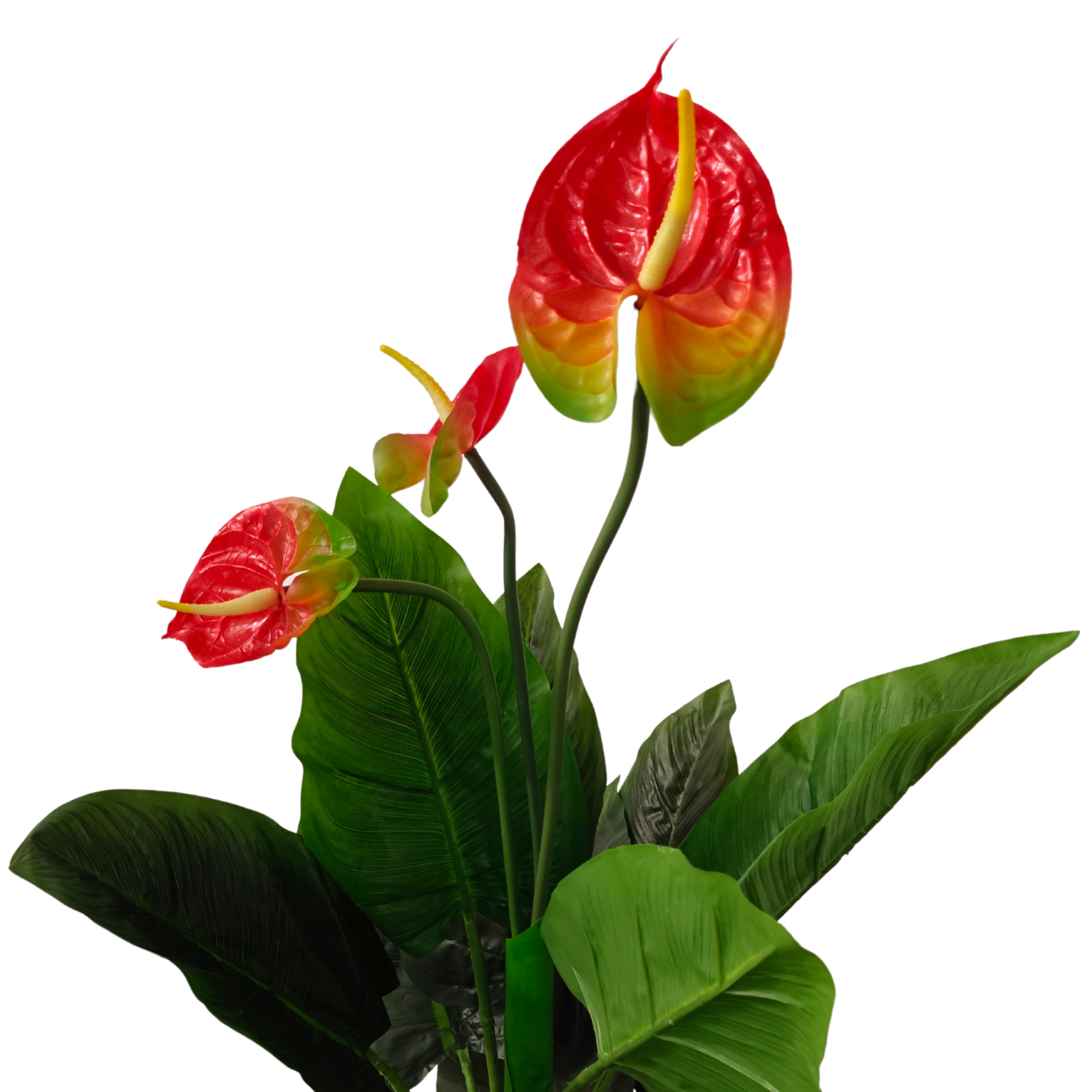 Tronco y hojas de la planta artificial de anthurium con acabado realista