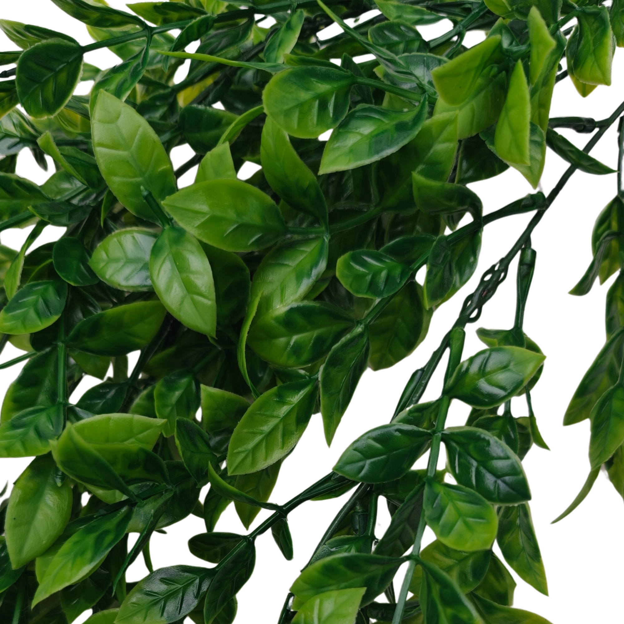 Detalle 1 del colgante de ficus artificial de 73 cm