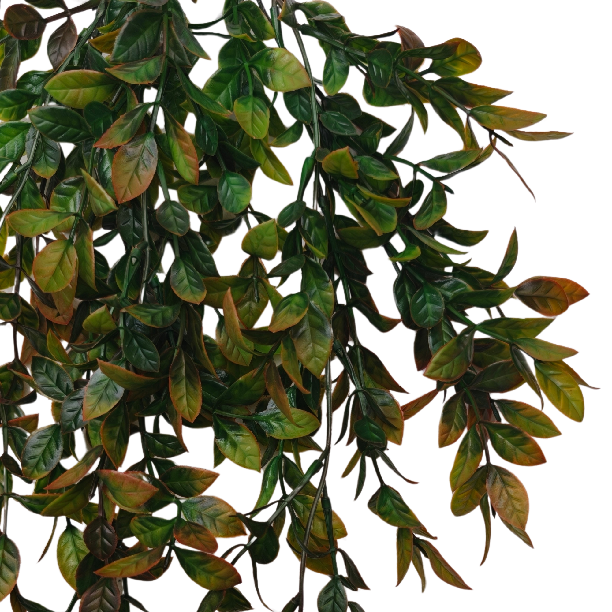 Detalle 4 del colgante de ficus artificial de 73 cm