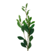 07510 - Verde (2)