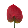 21057 - Granate (3)