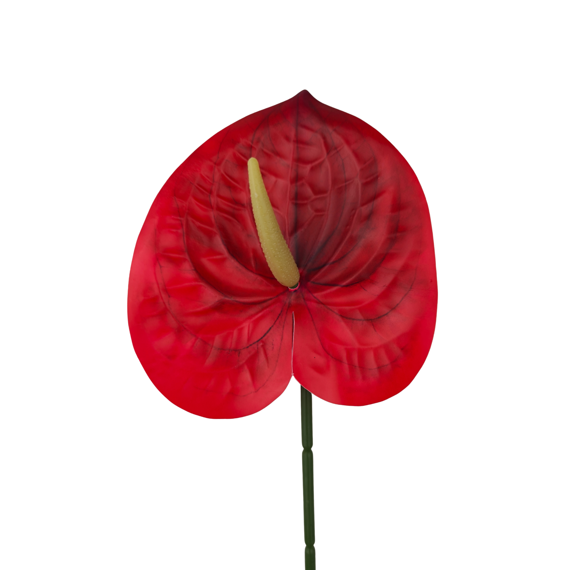 21057 - Rojo (2)