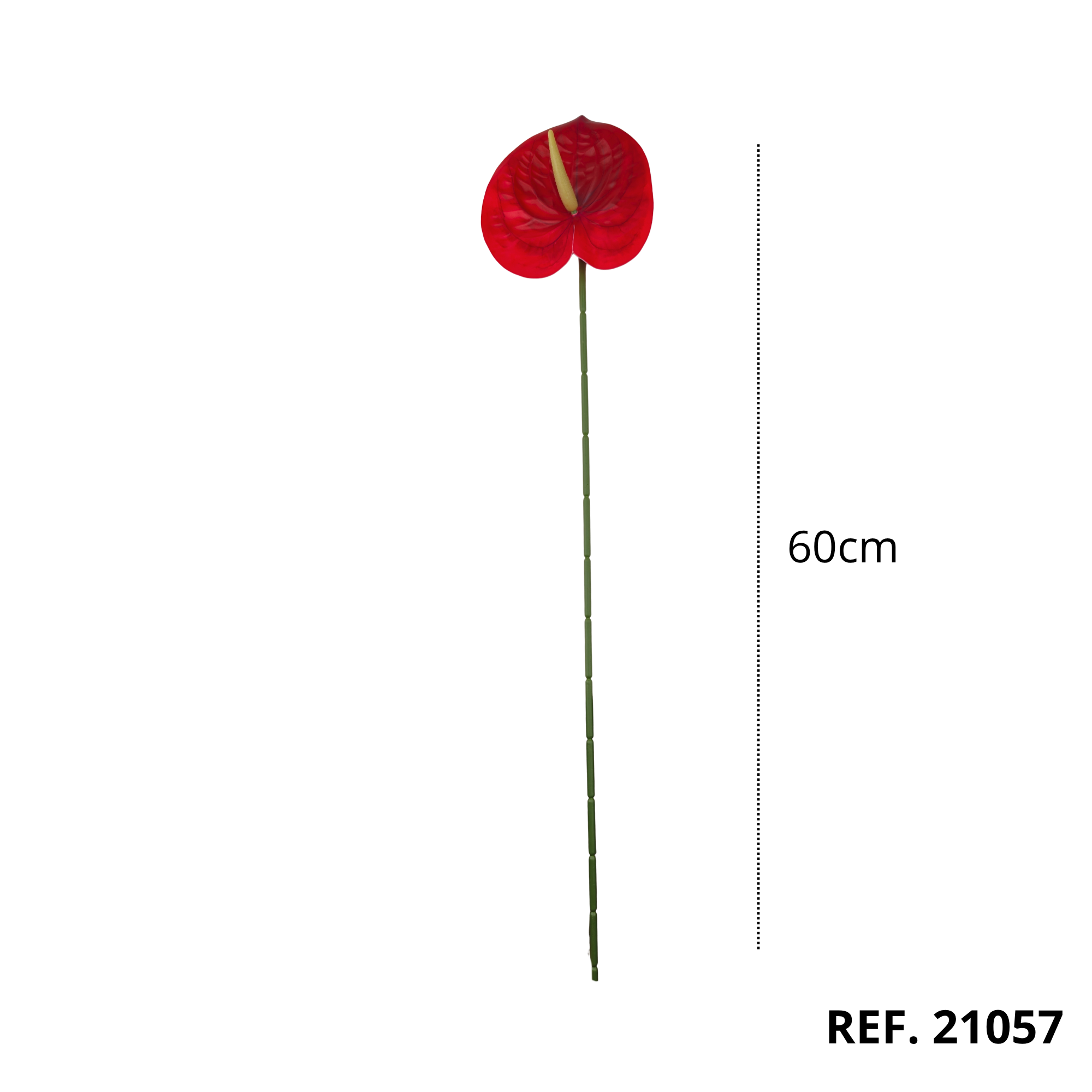 21057 - Rojo