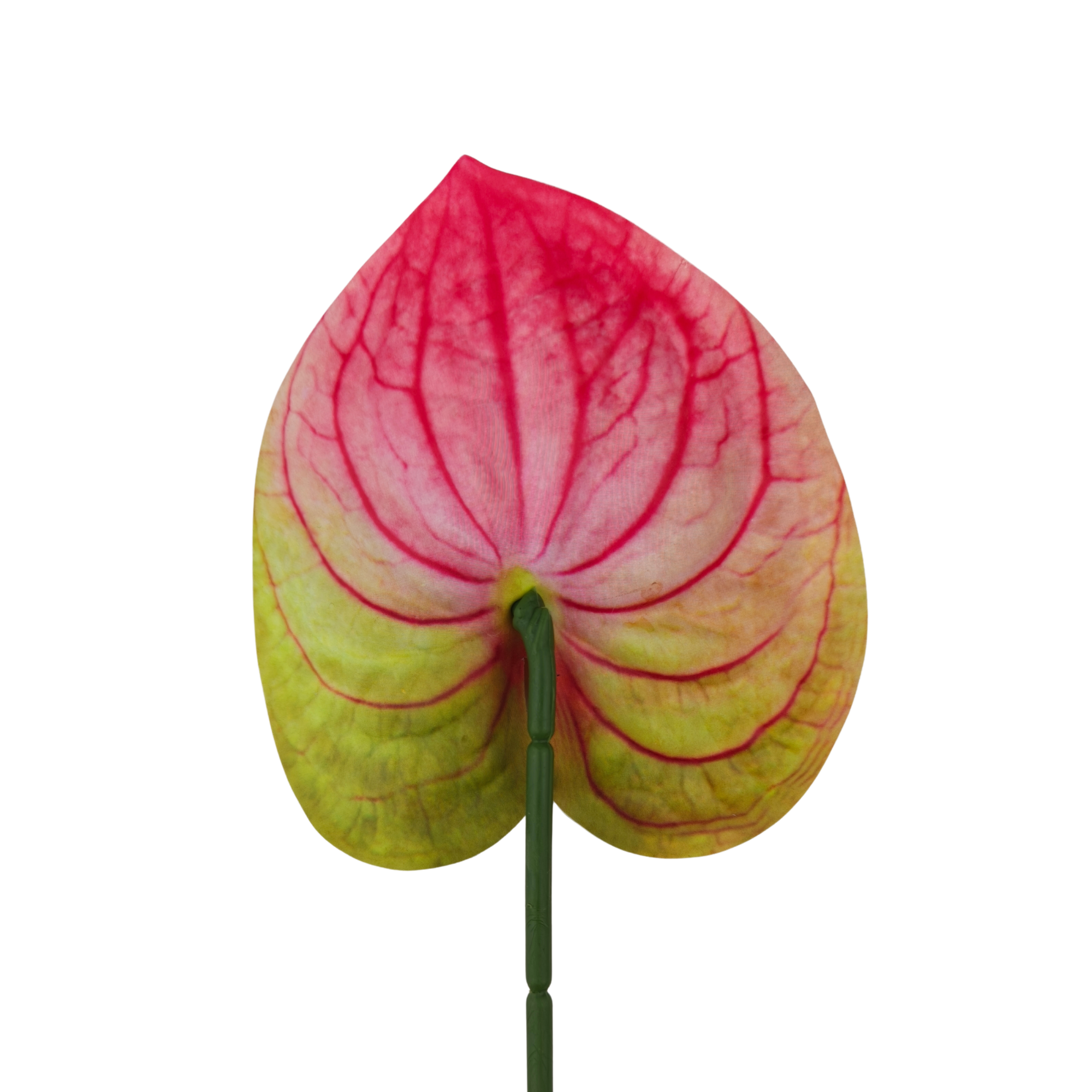 21057 - Rosa y verde (3)