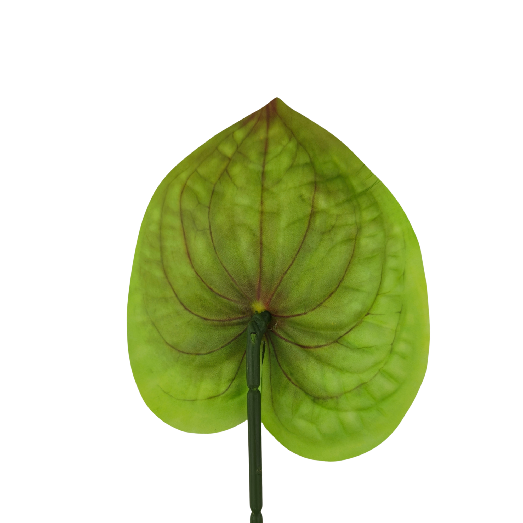 21057 - Verde (3)
