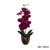 Fucsia morado