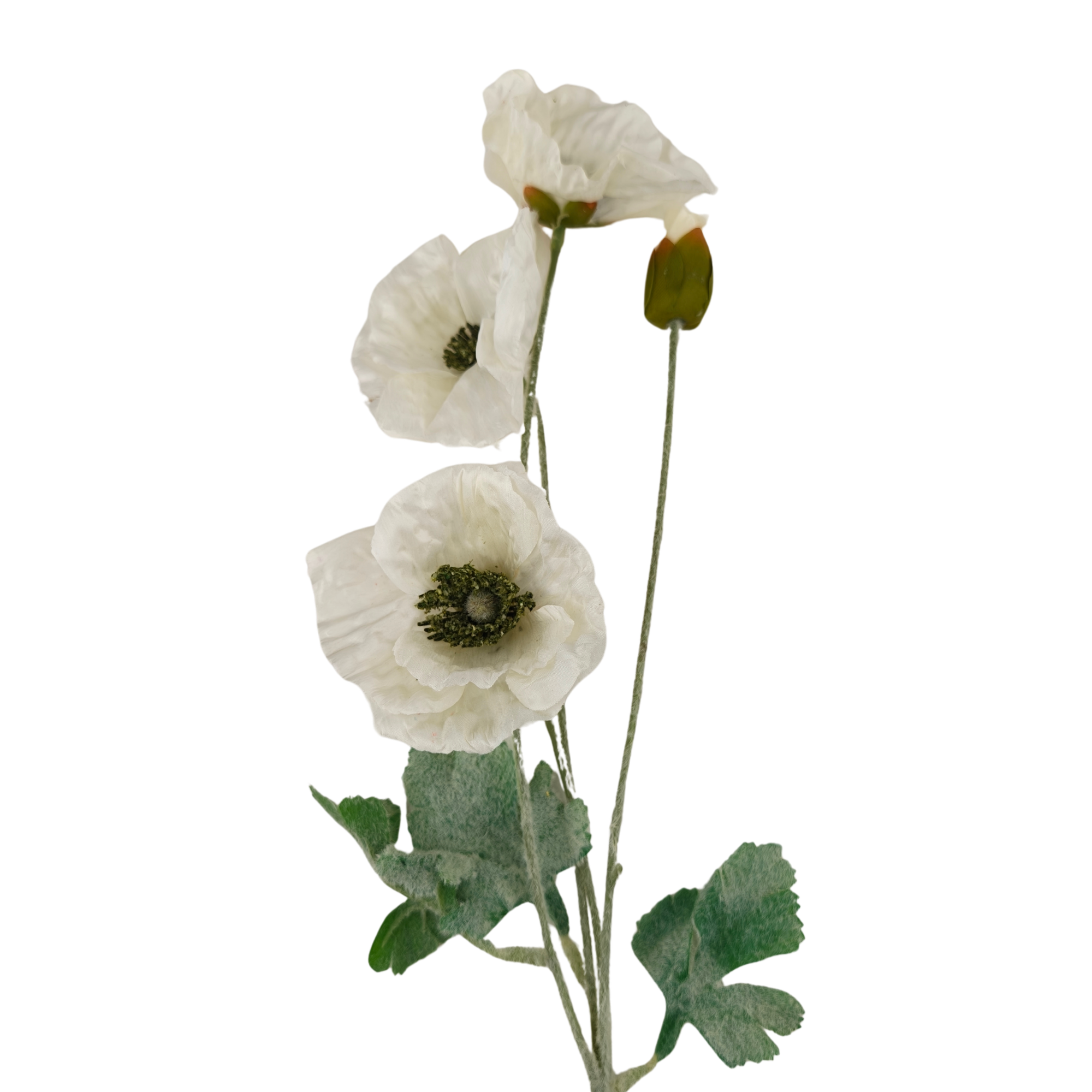 21113 - Blanco (2)