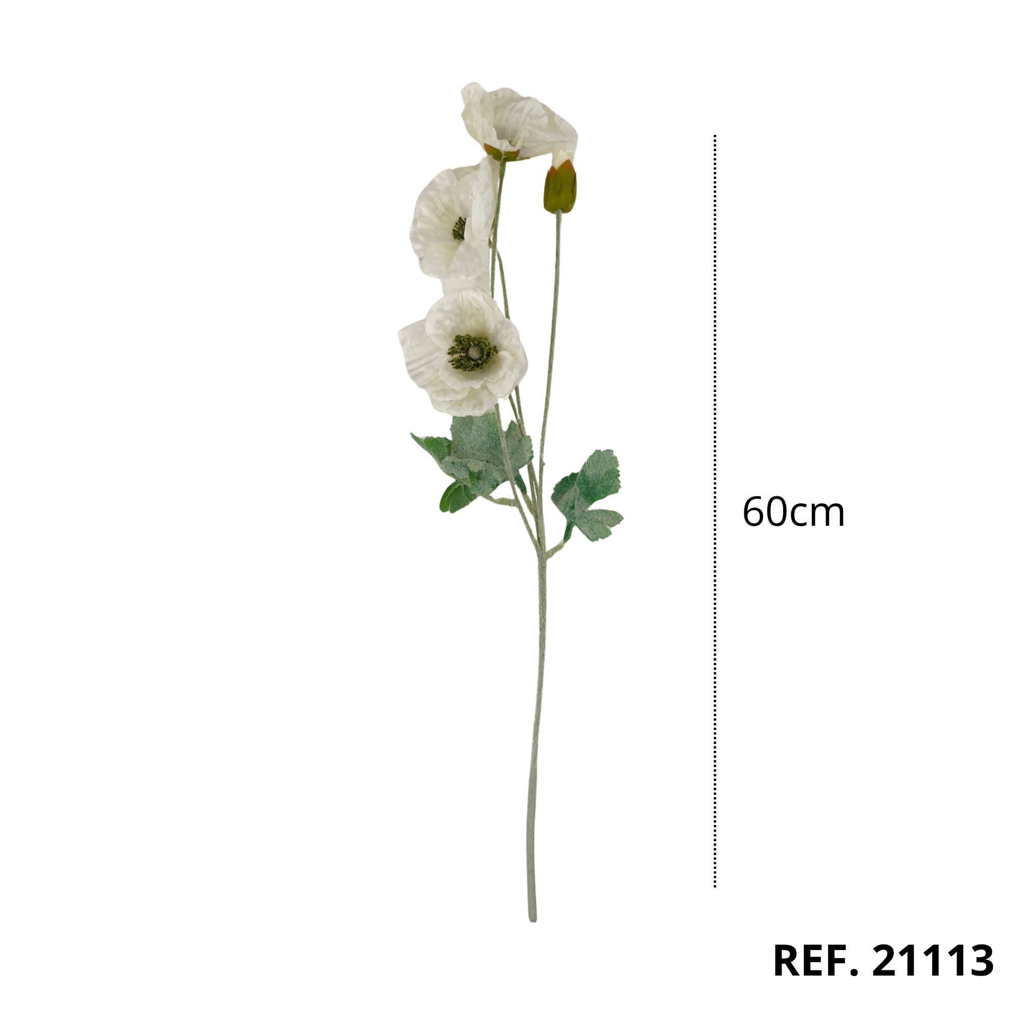 21113 - Blanco