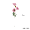 21113 - Rosa