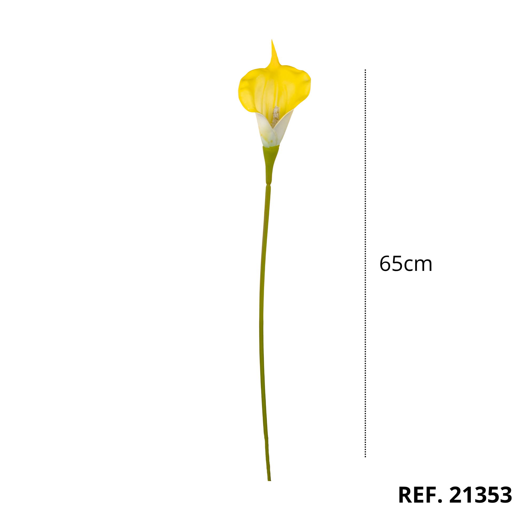 21353B - Amarillo