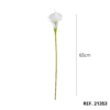 21353B - Blanco