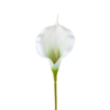 21353B - Blanco (2)