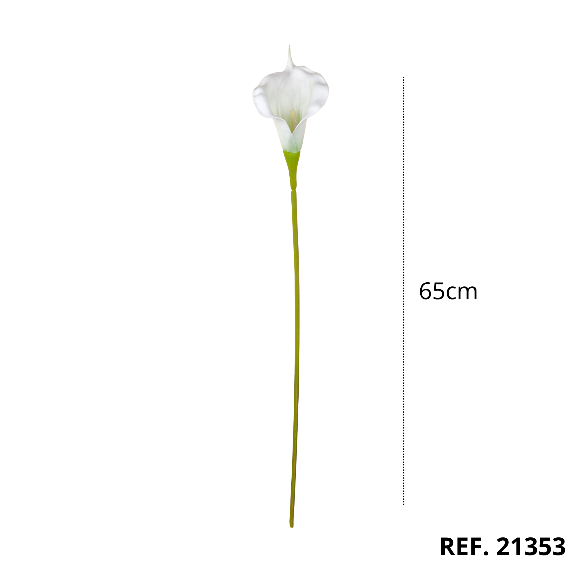 21353B - Blanco