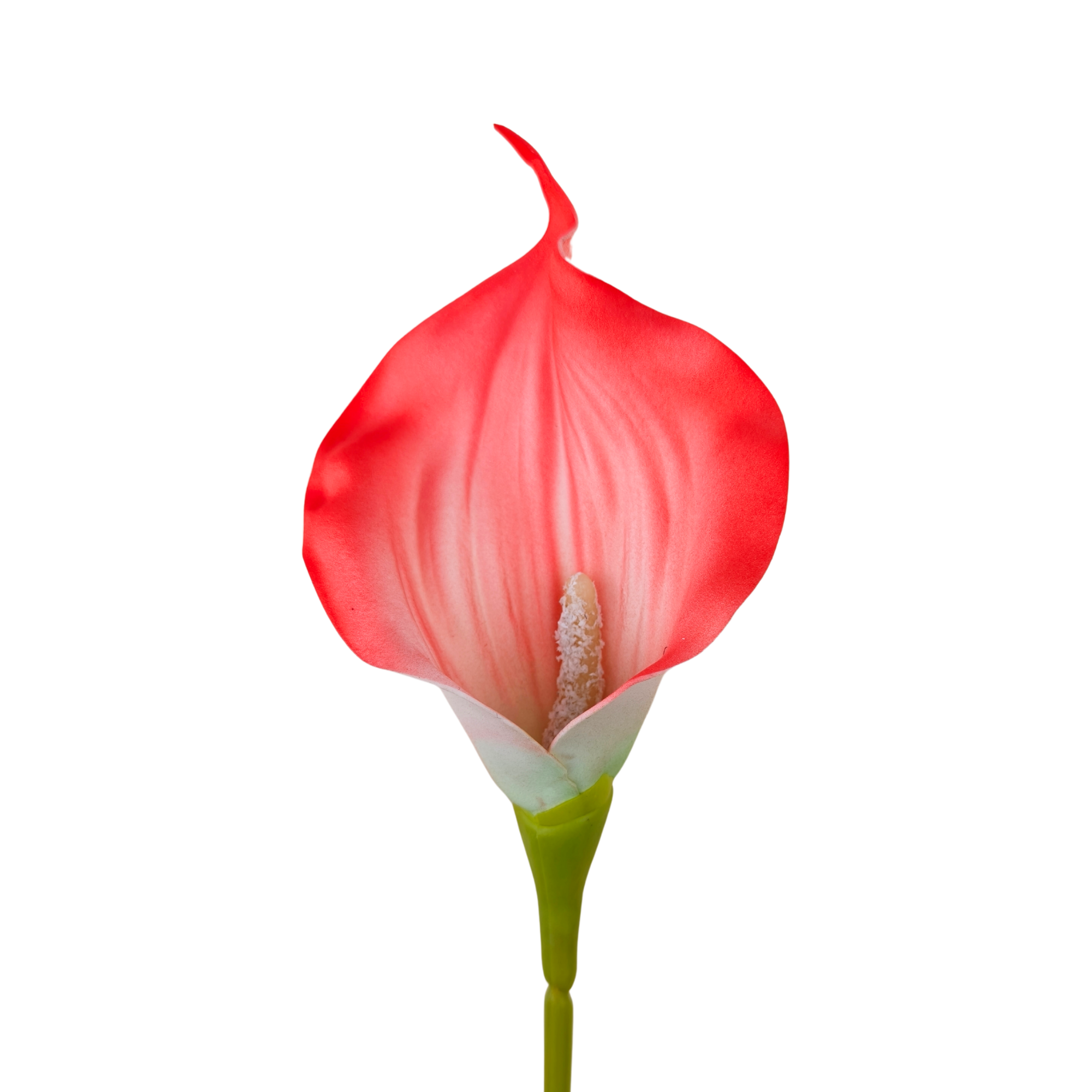 21353B - Naranja coral (2)