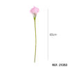 21353B - Rosa