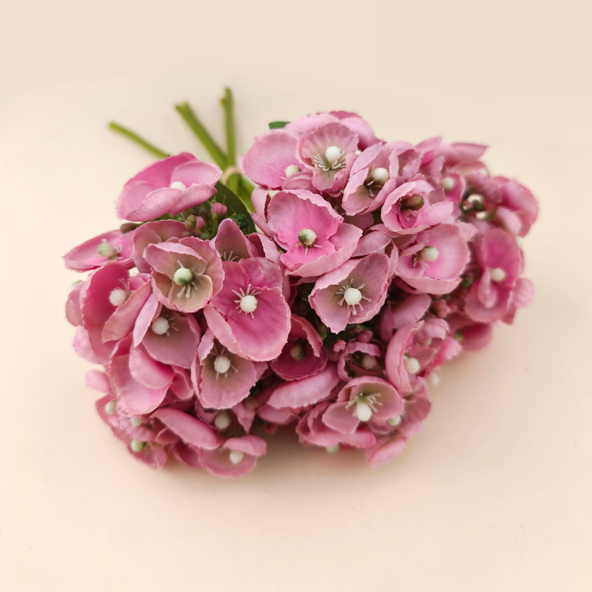 Rosa (2)