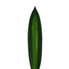 Verde (2)