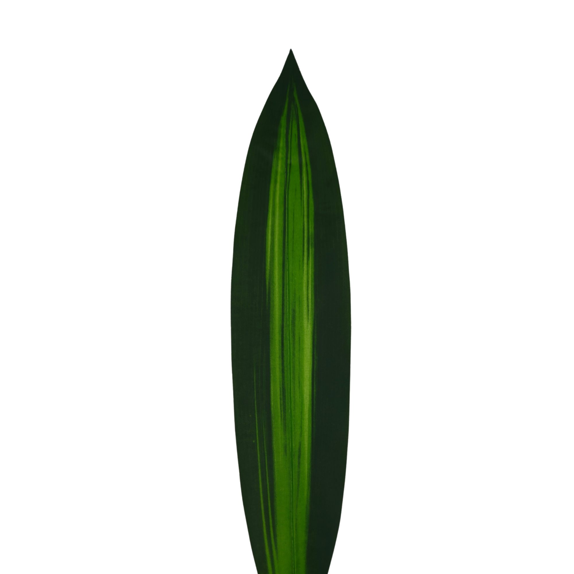 Verde (2)