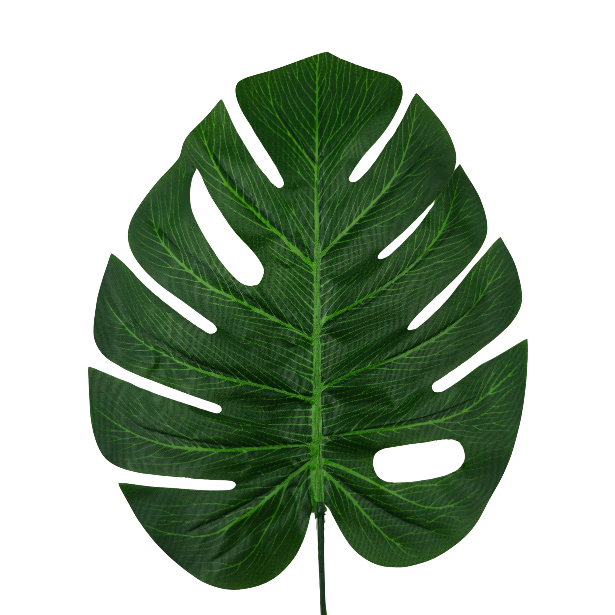Verde claro (2)